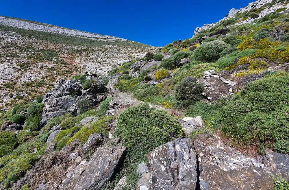 The last section of the hike to La Maroma from canillas de Aceituno