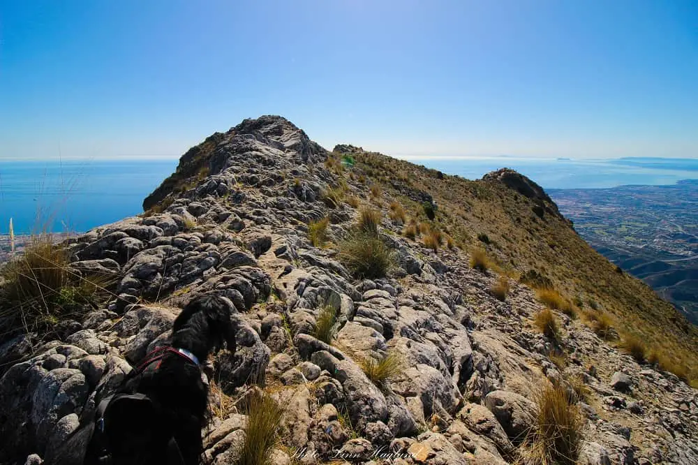 Ayla walking La Concha ridge