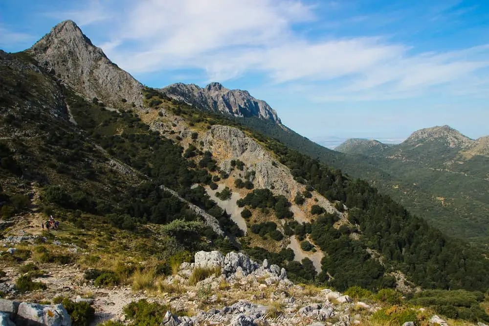 Hiking in El Pinsapar trail Grazalema