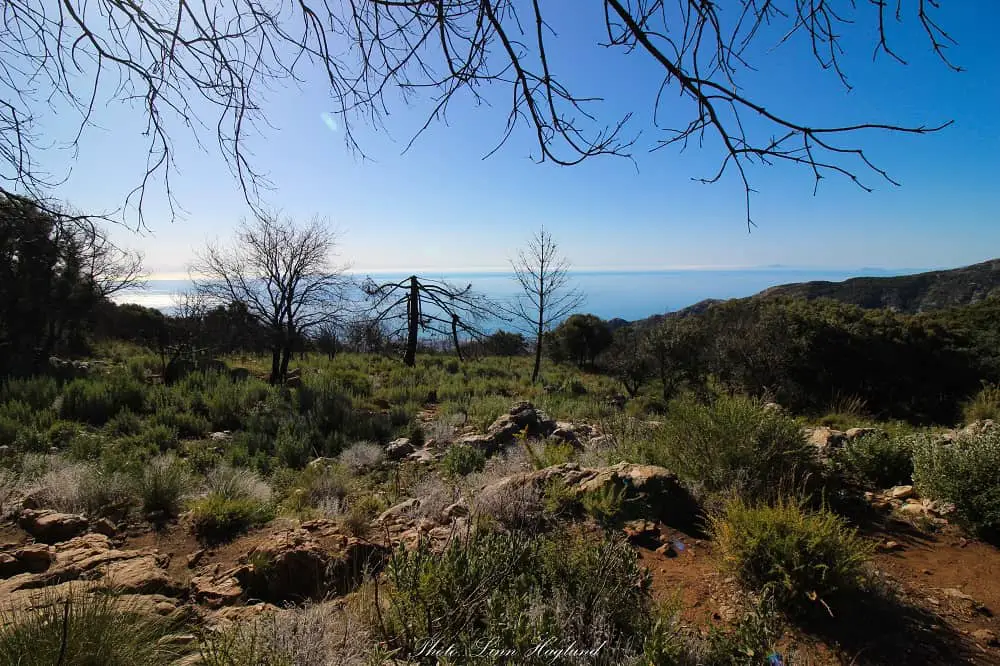 Landscape opening towards the coast