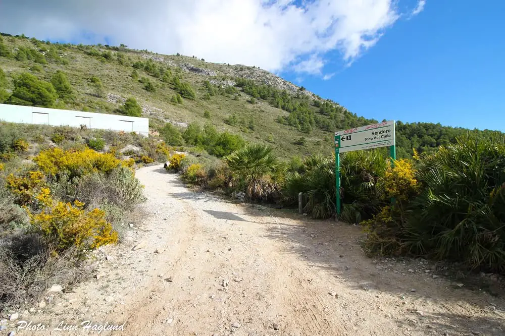 End of dirt road and start of forest trail