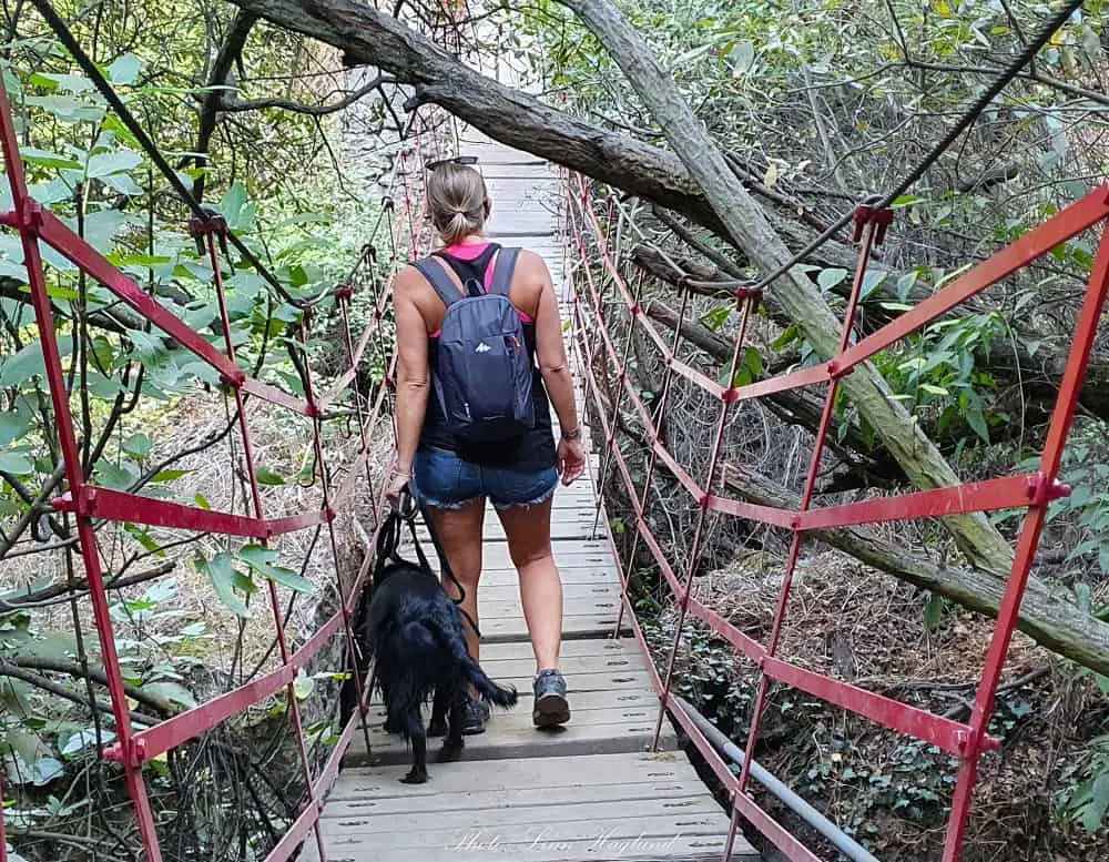 First hanging bridge on Los Cahorros hike