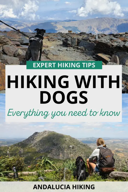 If you're planning to take your dog hiking, here are the top tips about hiking with dogs that you will need to know. Expert dog hiking tips to make sure you don't make the most common mistakes and can enjoy a comfortable walk in the outdoors.