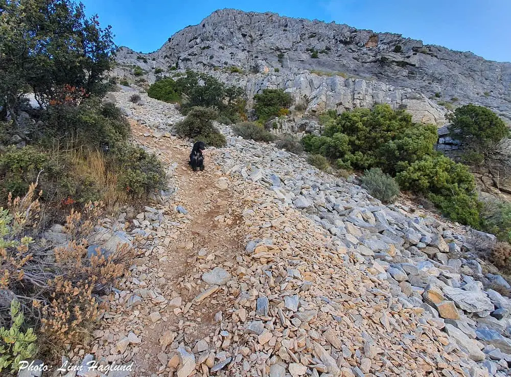 Last steep part of Pico del Cielo hike