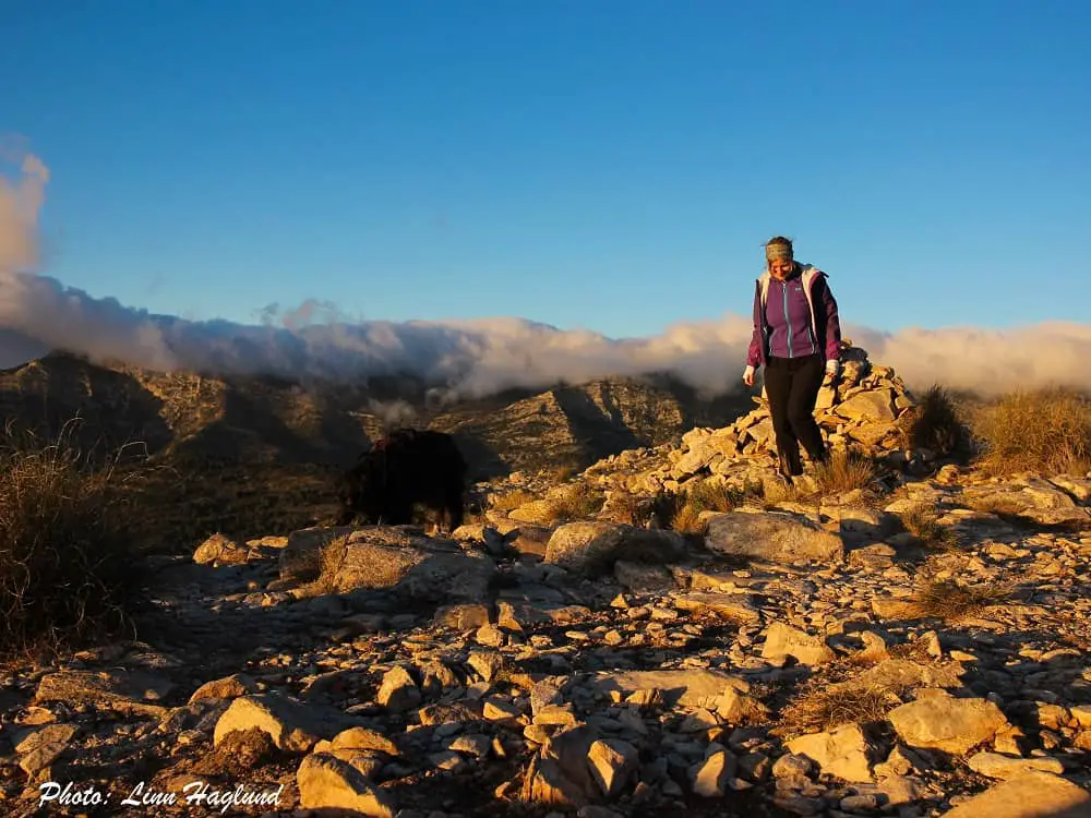 The top of Pico del Cielo