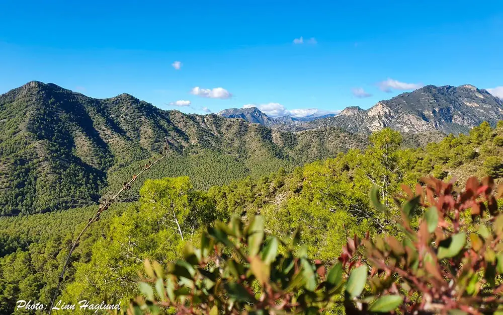 Views from the dirt trail on the first part to hike Pico del Cielo