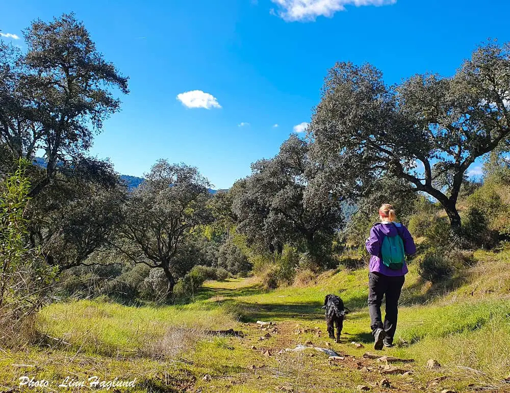 Hiking Ruta de Los Venados