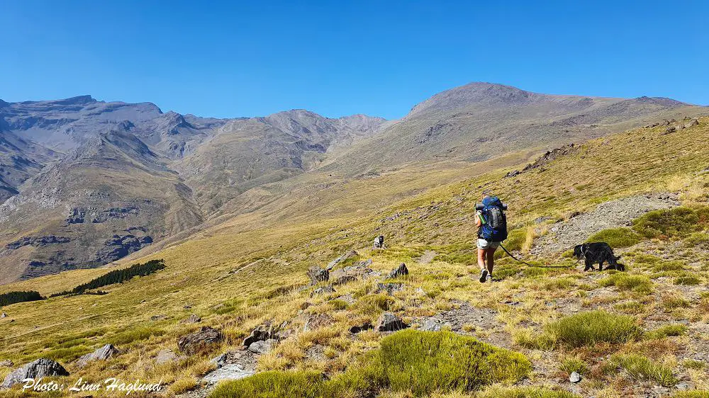 Sierra nevada hotsell hiking trails