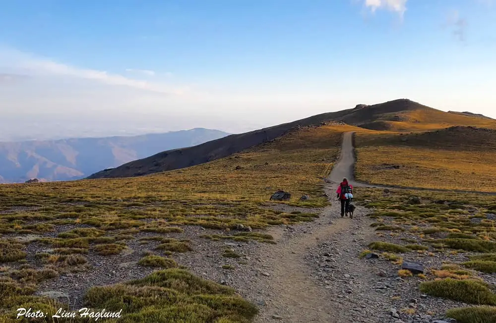 The way back down from hiking Mulhacen - tha trail meets the dirt road