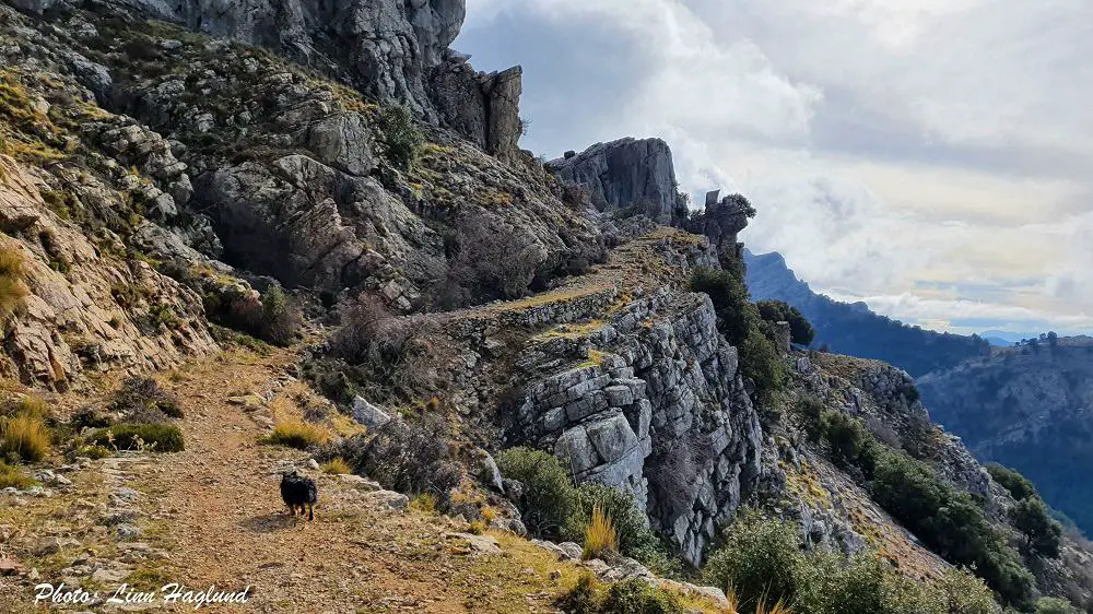 Trail leading towards Gilillo peak