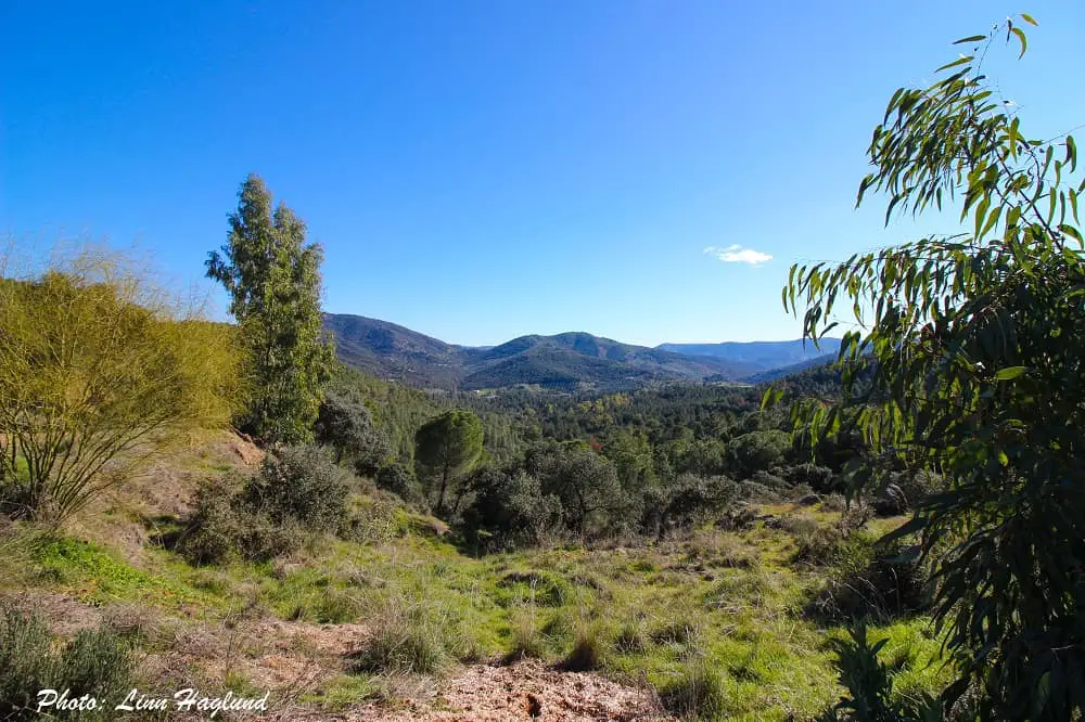 Views along the hike