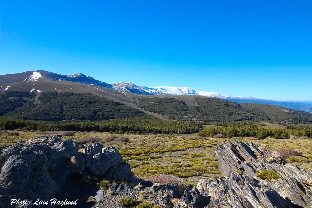 Views of Sierra Nevada