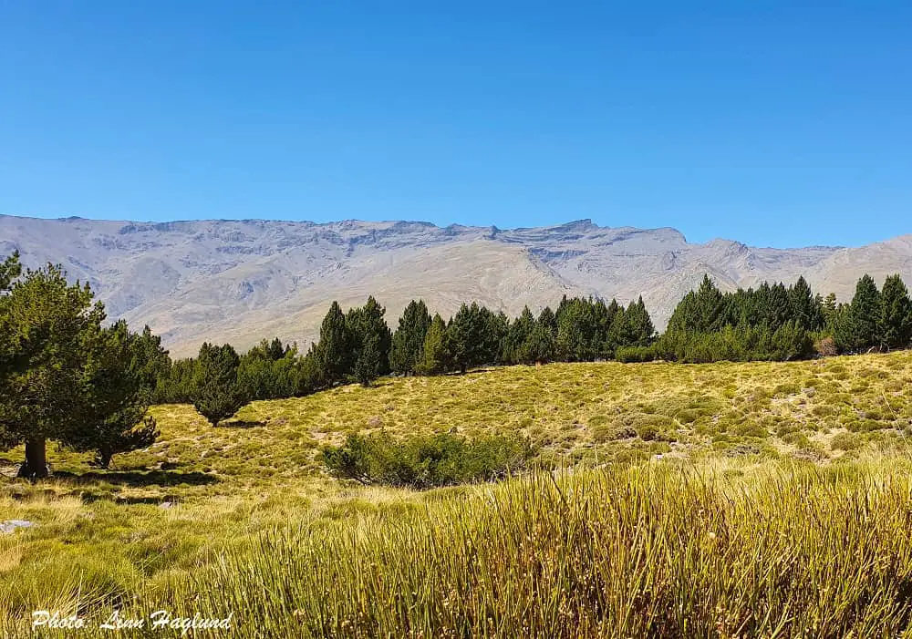 Views on the hike to Refugio de Poqueira