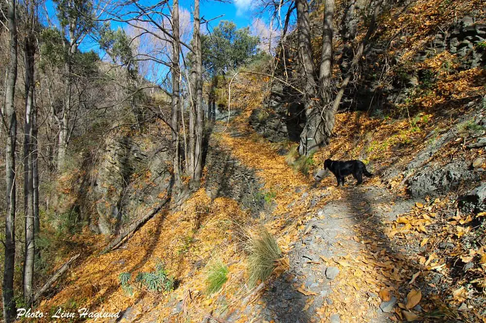 Ayla along Rio Molinos