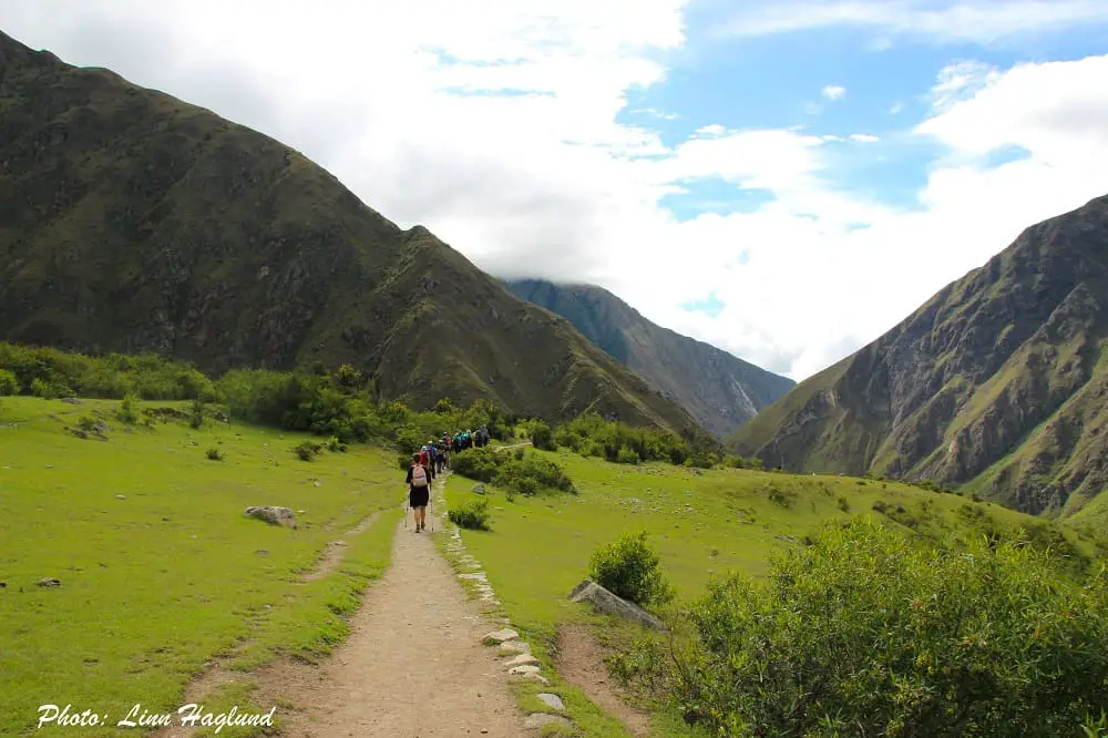 Collapsible poles are best for trekking