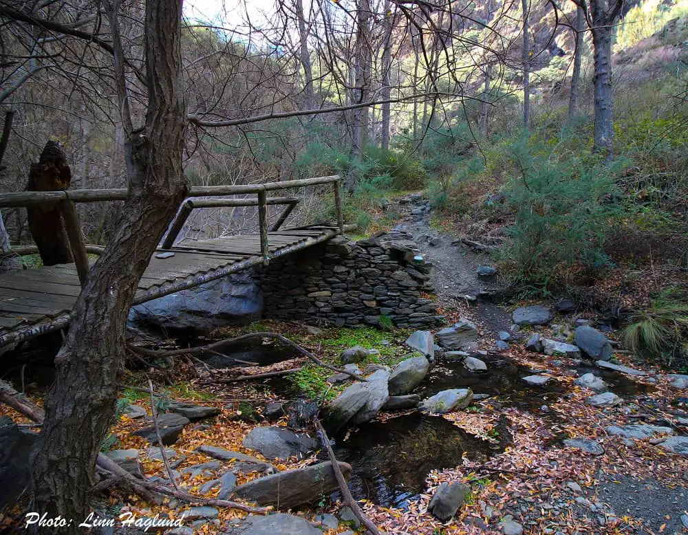 Rio Molinos in winter