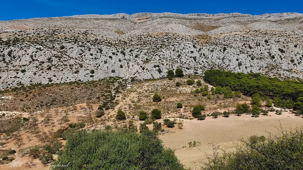 Views across the valley and the trail to El Huma before entering the forested area