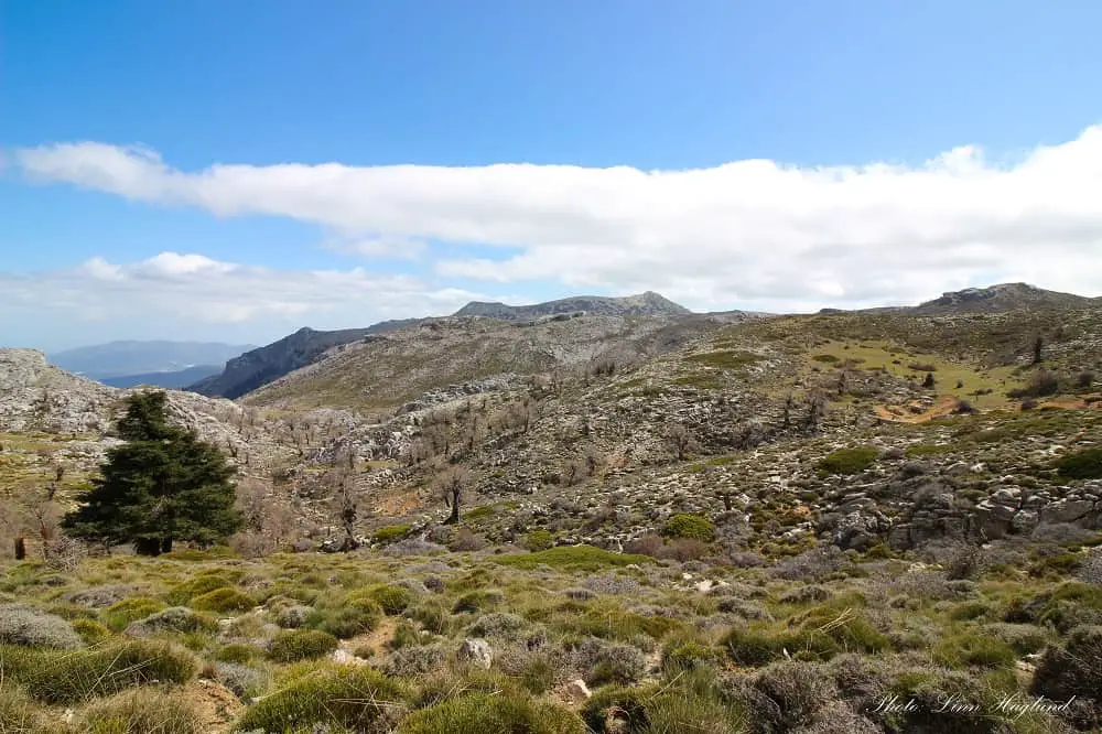 Hiking Pico Torrecilla