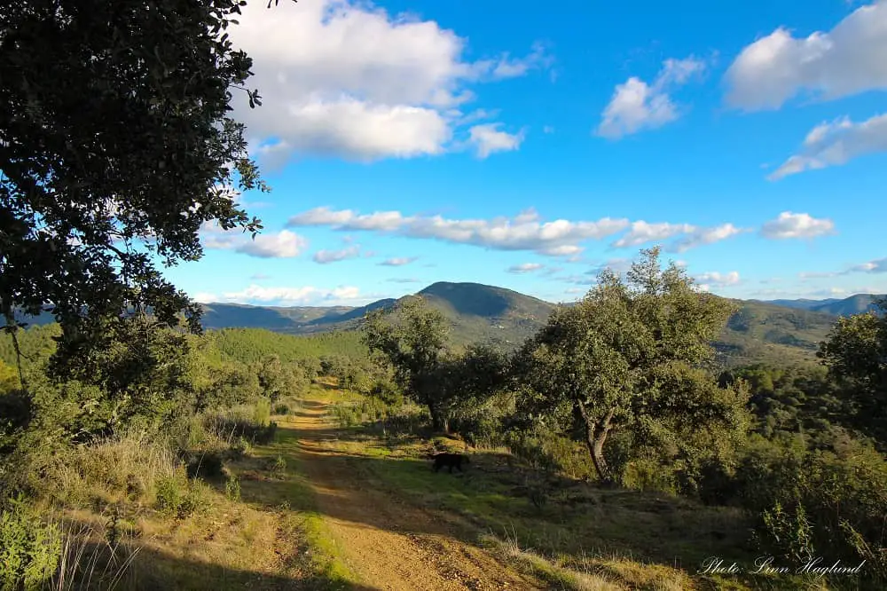 Hiking in Villaviciosa de Cordoba