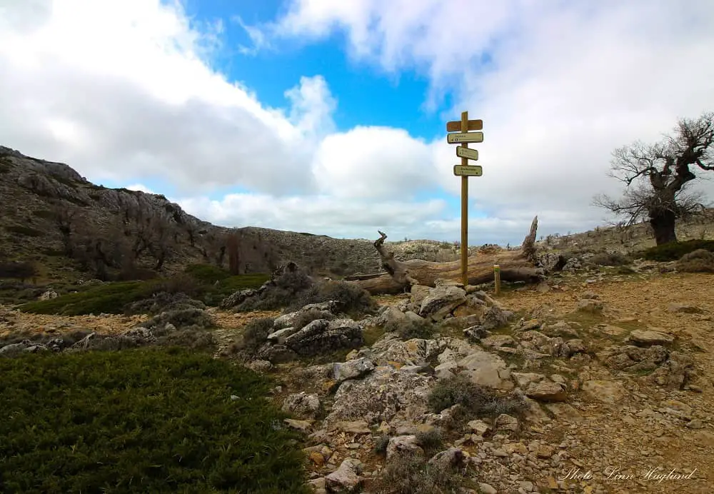 Junction where you turn left towards Pico Torrecilla