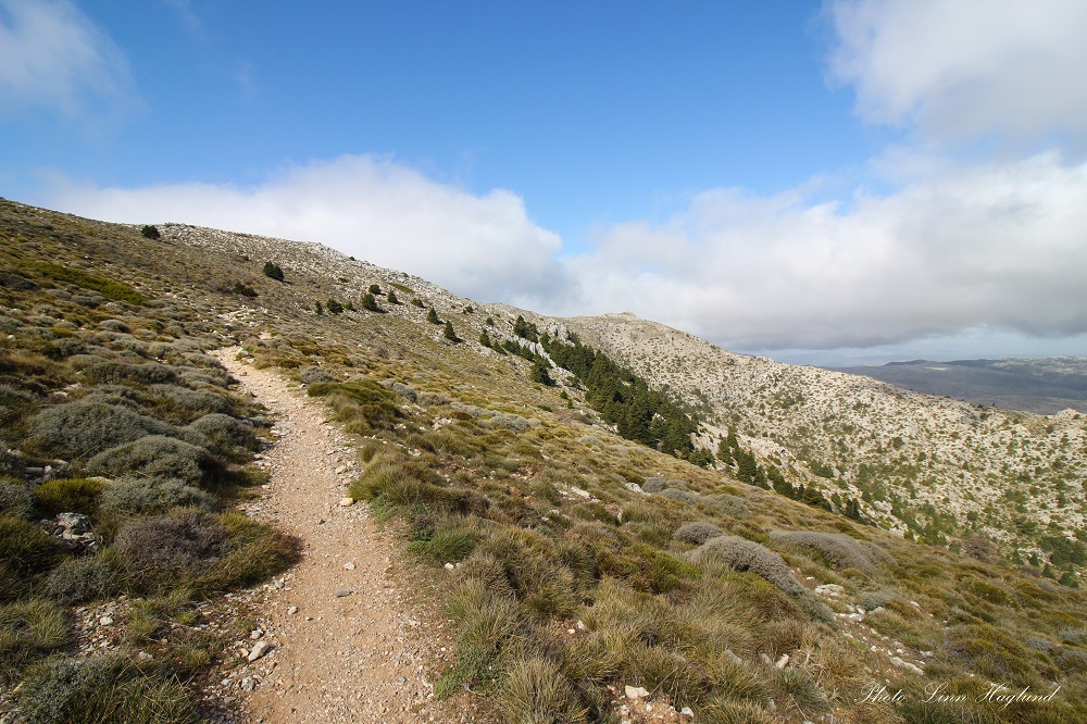Open shrub landscape along the hiking trail to El Torrecilla