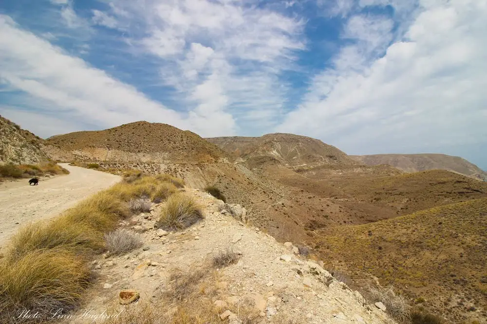 The dirt track towards Cala de San Pedro winding through rolling hills