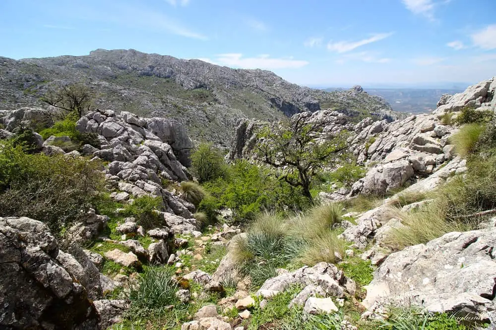 The way back from Pico Chamizo