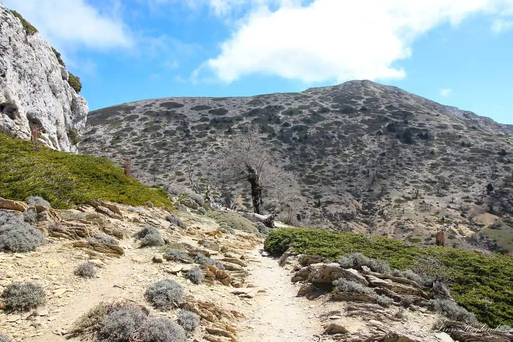 Torrecilla Peak in Malaga Andalucia