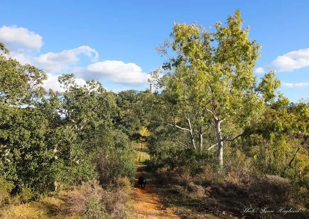 Trail leading to the watch tower