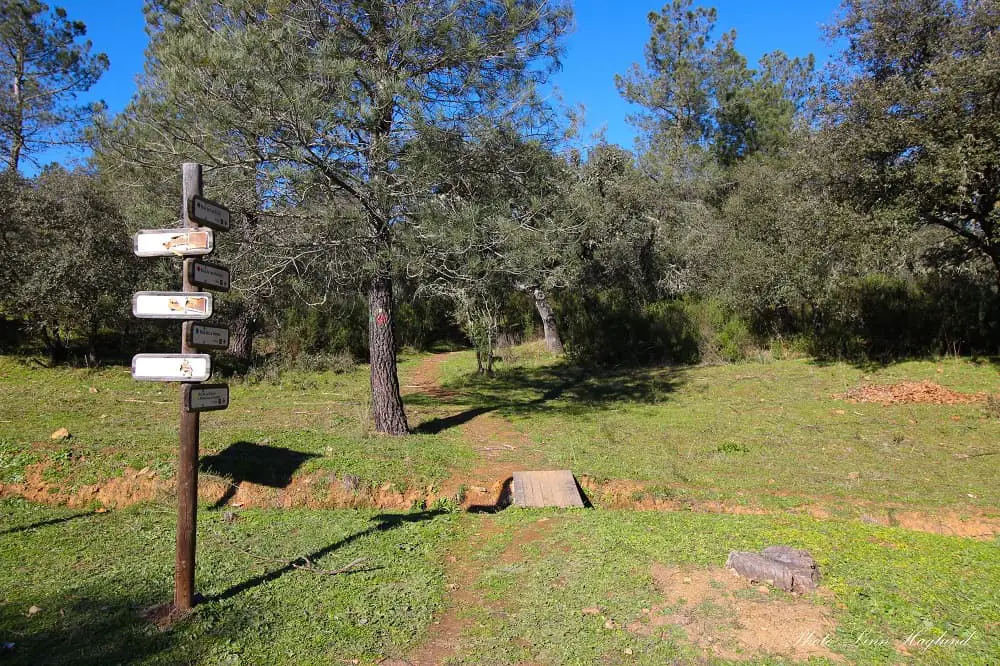 Trailhead of Ruta Pinos, Vegosa, Venados y Plata