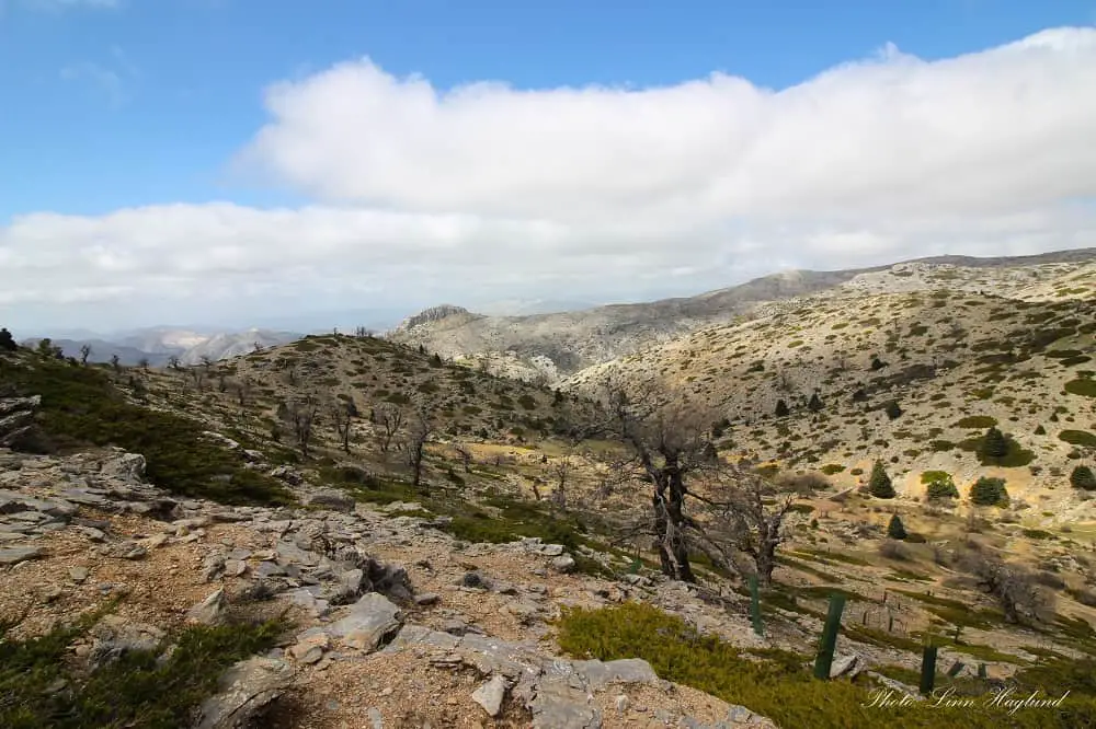 Views along Torrecilla trail