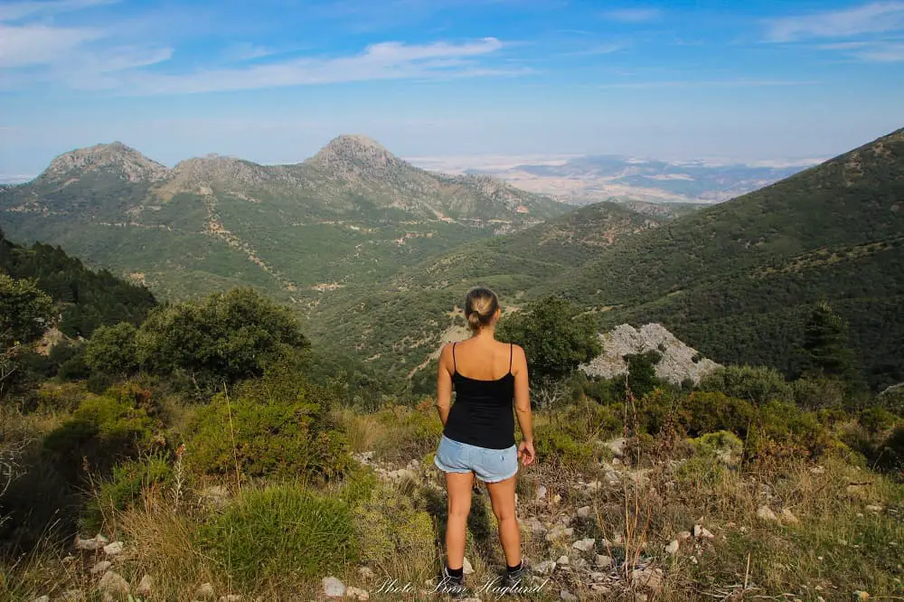 Beginner hiking in Andalucia - el Pinsapar