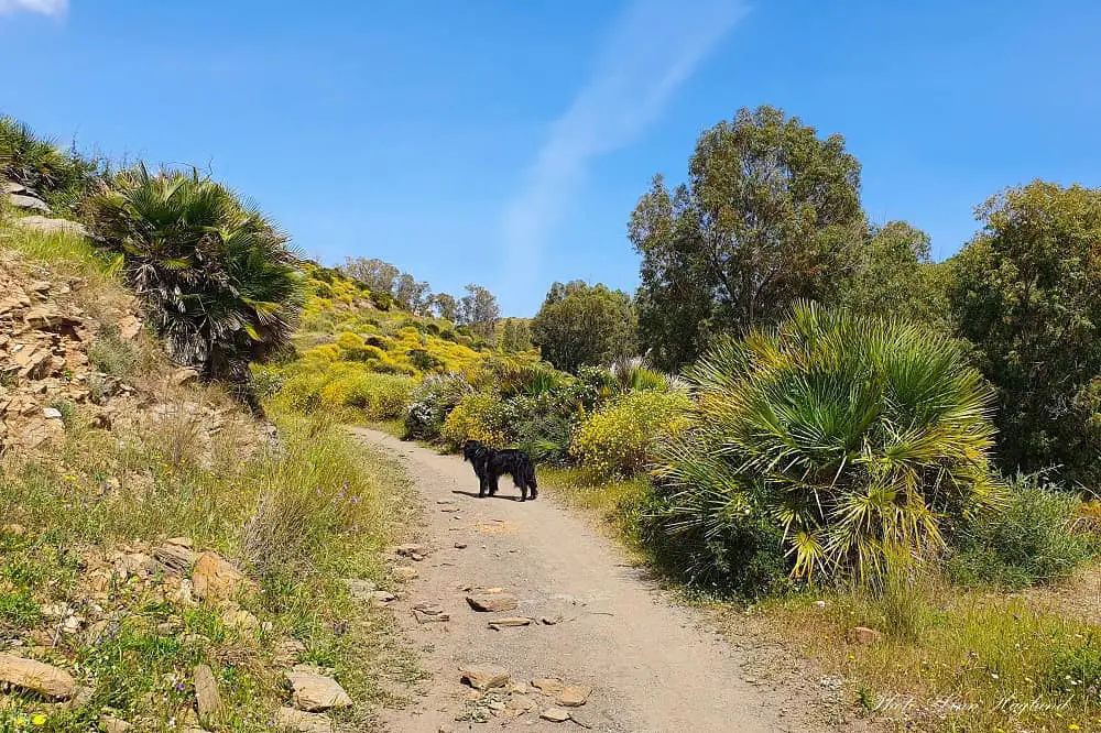 choose easy trails as a hiking beginner