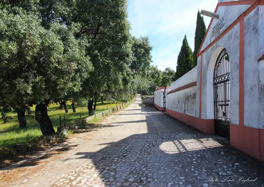 Passing the graveyard walls