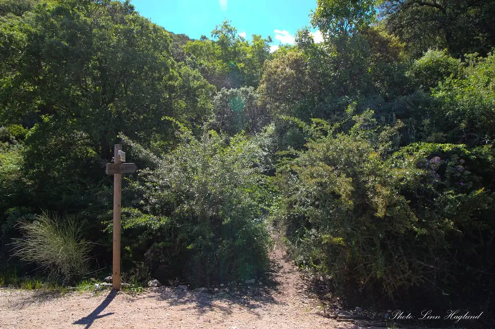 Pico El Terril Trailhead