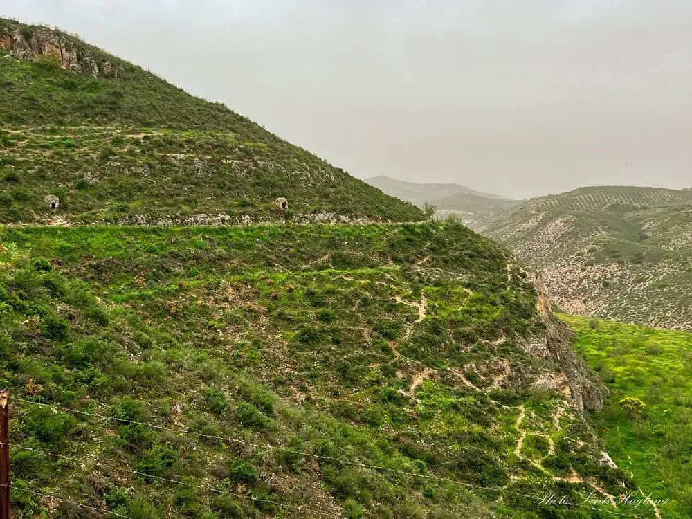 Green valleys and old Roman remains at Sendero de las Arquillas Antequera.