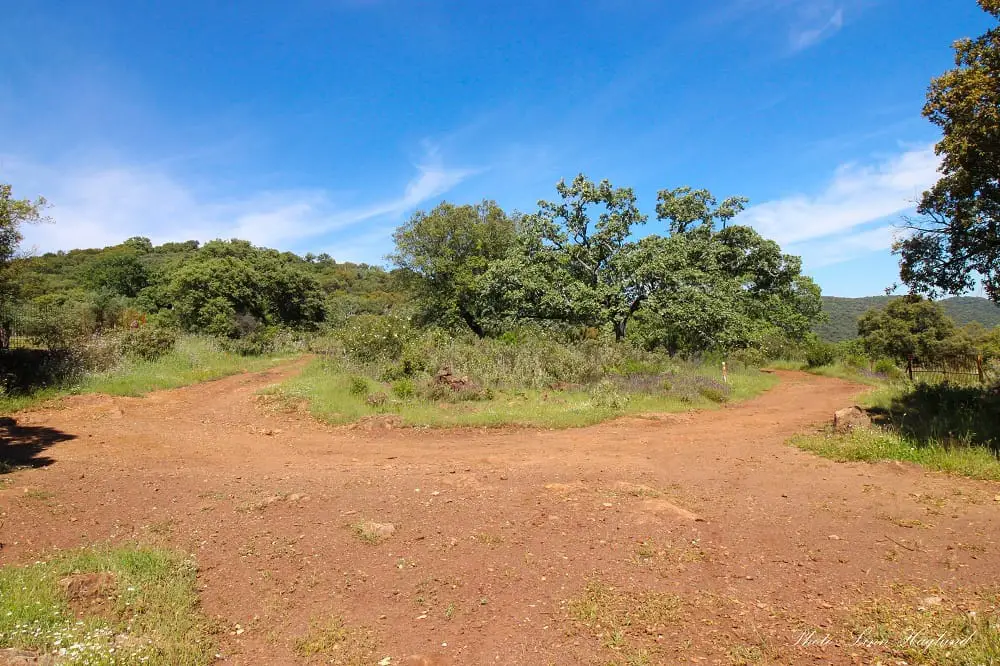 Turn right in this junction - there is a trail marker pole marked Bonales there