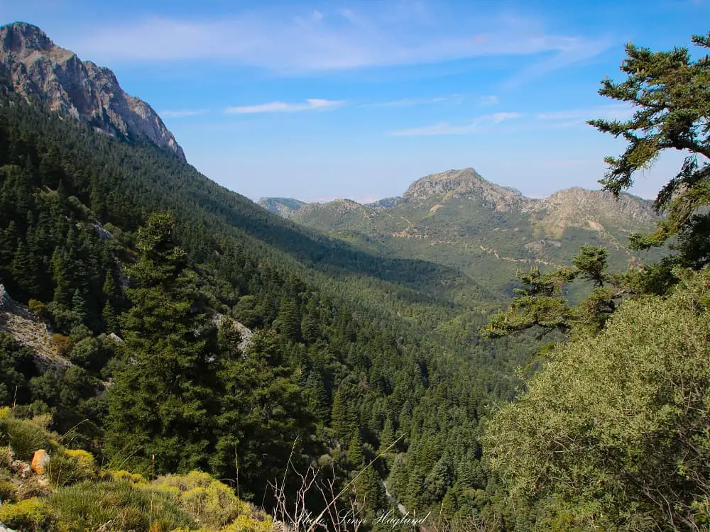 Andalucia walking El Pinsapar