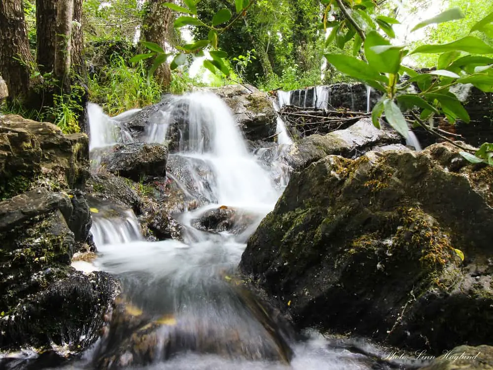 Repilado to Los Romeros in Huelva is one of Andalusia's most beautiful hikes