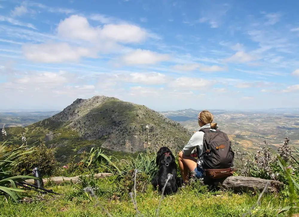 hiking with dogs