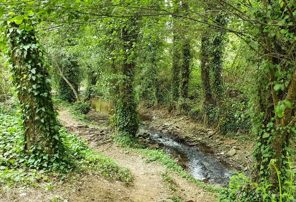 River walk Repilado to Los Romeros Huelva