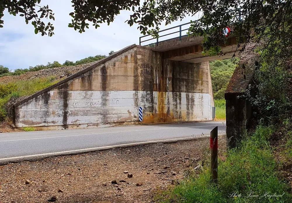 Walk under the bridge on the road before you continue down the trail again