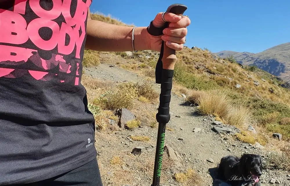 Hiker hunger cheap trekking pole