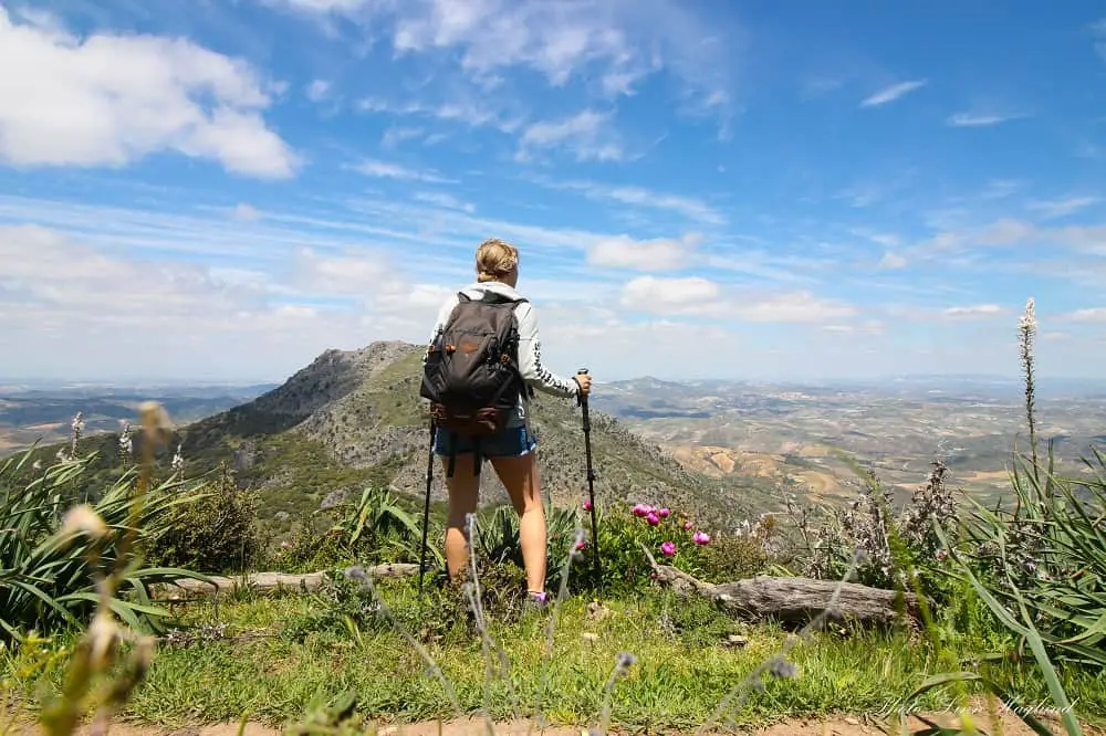 Hiker Hunger trekking pole