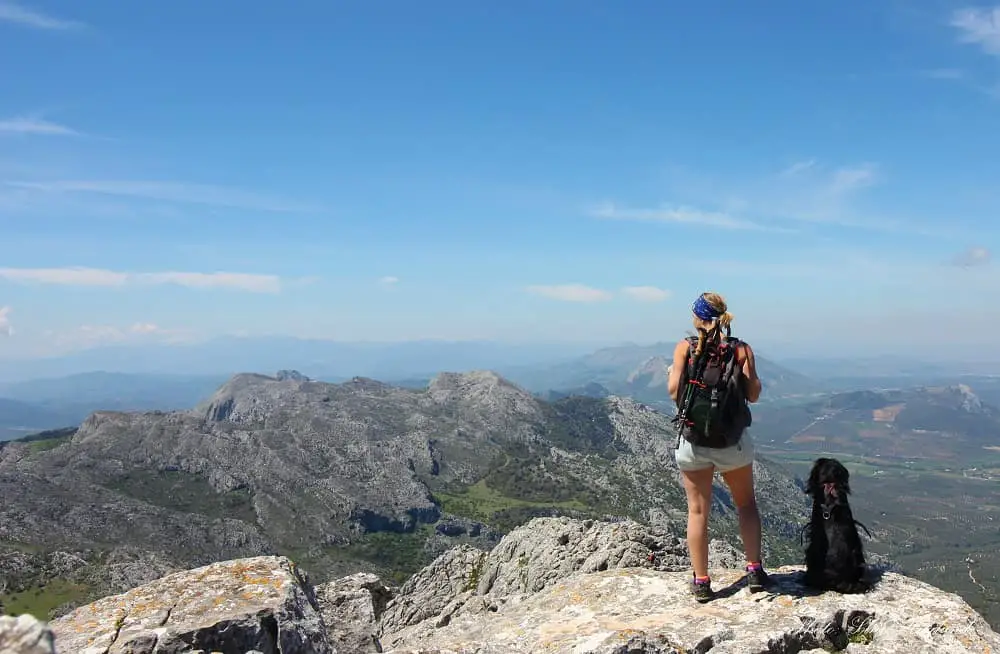 Hiker Hunger walking sticks