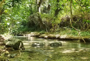 Rio majaceite, el bosque, cádiz, espanha