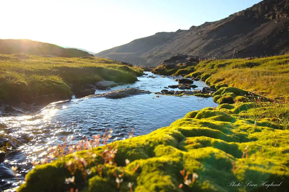 Lush landscape in Sierra Nevada