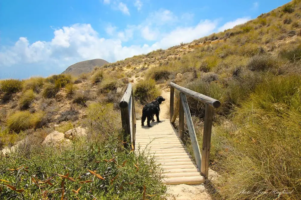 Sendero la Molata hiking trail