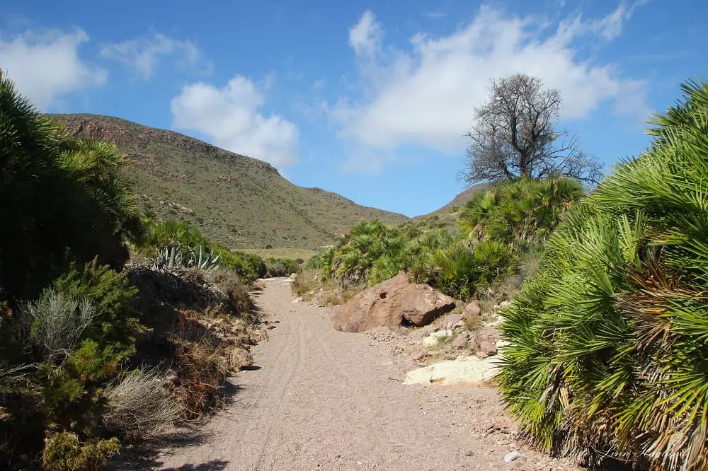 Caldera de Majada Redonda trail