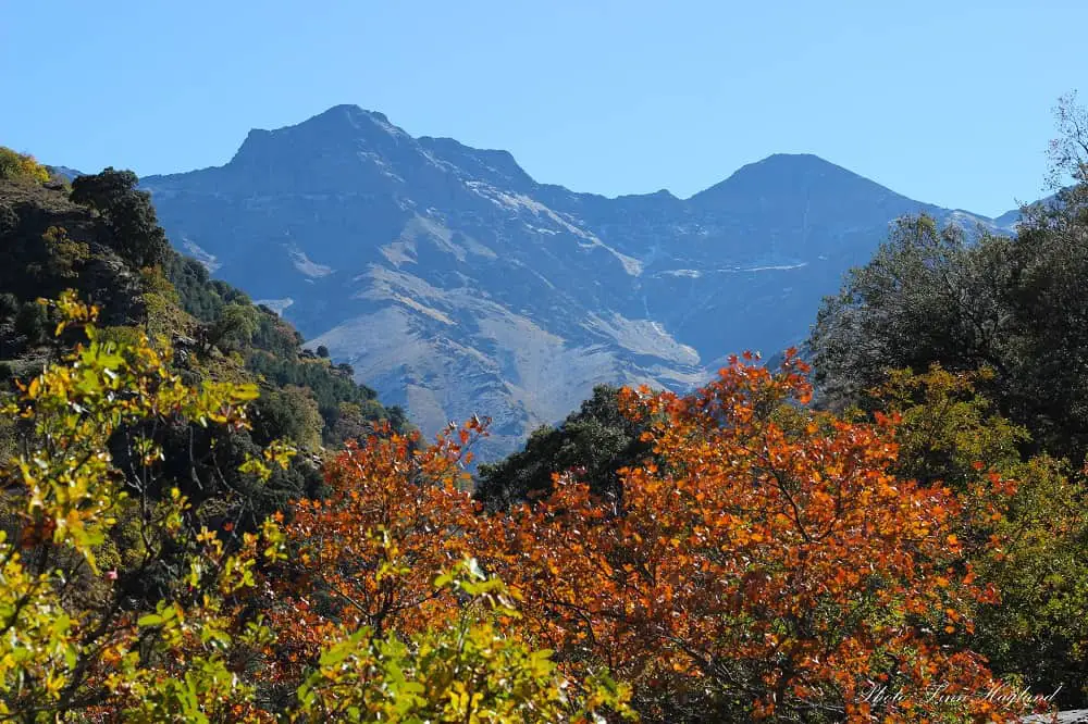 Hike Vereda de la Estrella